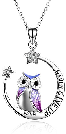 YFN Owl eulen Halskette Inspirierender Schmuck Sterling Silber Geben Sie niemals auf Eulengeschenke Moon Star Halskette für Frauen Girlsr