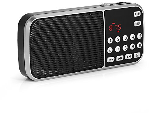 Reproductor de audio digital potable compatible con la mayoría de MP3/MP4/teléfonos celulares/tabletas/computadoras portátiles, altavoz de reproductor de música con linterna LED Soporte Radio FM Tarje