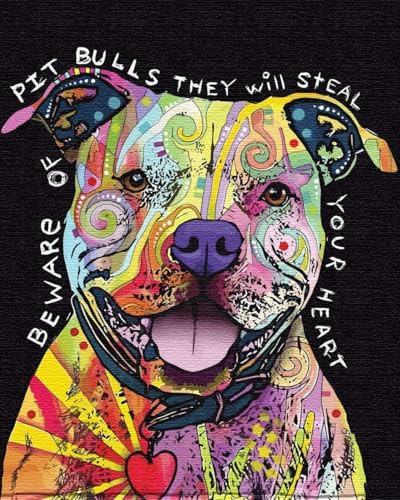 Artnapi Malen nach Zahlen Erwachsene mit Rahmen | DIY Handgemalt | Tiere - Pitbull-Hund | Kit für Anfänger und Erwachsene | Set inklusive Acrylfarben & Pinsel | 40x50cm Leinwand | Ideal als Geschenk