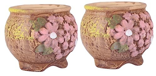 OFFSCH 2pièces Pots De Fleurs Succulentes Peints Main De Pots pour Plantes Décoration Minimaliste pour Maison Bureau Et Événements Spéciaux