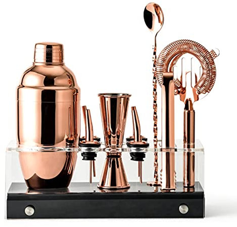 QTANZIQI Juego de coctelera de coctelera de 10 Piezas con Soporte acrílico, Juego de Herramientas Profesional de Barra de Acero Inoxidable, Kit de coctelería Experiencia de Mezcla de