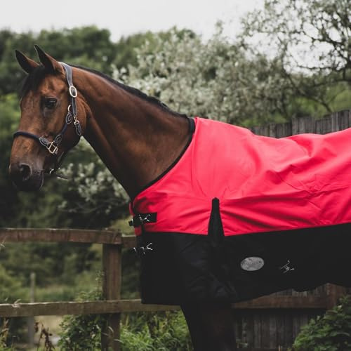 Equitack 1200D Winterdecke Pferd, 145cm | Regular Regendecke Pferd mit Fleece Lining | wasserdichte Outdoordecke Pferd | Red/Black