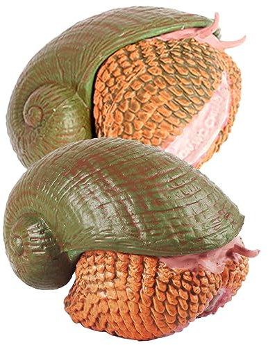 Toyvian 2 Pezzi Figure Realistiche Educativi Animali per Decorazioni per Giardino e Balcone Giocattoli Didattici per Stimolare Molluschi