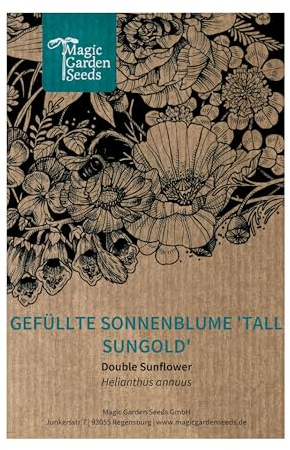 Magic Garden Seeds Graines de tournesol « Tall Sungold » (Helianthus annuus) – Fleurs remplies, jaune doré et sans centre sombre – jusqu'à 180 cm de haut, ramifiées, respectueuses des insectes et