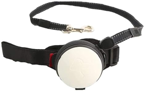 HANFEN Einziehbare Hundeleine 3m/10ft Nylon Handgelenk-Zugseil Strapazierfähig Roll-Leine Für Hund Welpen Katze Haustier Joggen Walken (Color : Blanc, Size : 3m)