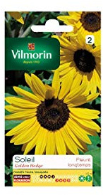 Vilmorin - Sachet graines Tournesol Soleil Golden Hedge
