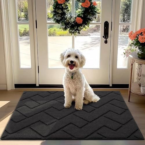 hicorfe Front Door Mat Outside Entrance,32x40 Absorbent Muddy Dirt Resist Welcome Door Mats Outdoor Indoor,Stain and Fade Resistant,Non Slip Backing Entry Mat Doormat for Entryway(Charcoal)