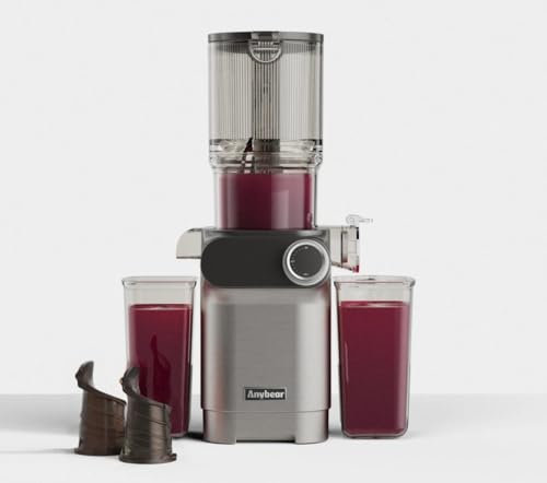 Anybear Entsafter 200W Slow Juicer mit 110 mm großem Einfüllschacht für ganze Früchte/Gemüse | Upgraded Schnecke | Tritan-Material | BPA-frei | Inkl. Saftrezepte (Silber)