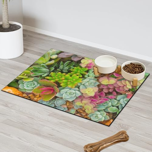 Succulent Plants Pet Feeding Mat for Cat Dog Water Bowl Food Mats Tropical Succulent Pet Feeding Mats Absorbent Nti-Slip Contain Spills Protects Floors Placemat 40.6 x 60.9 cm