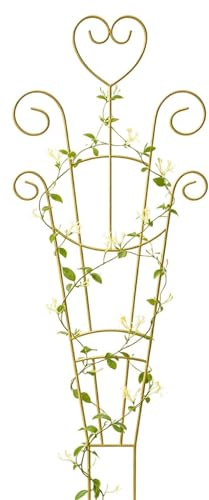 Traliccio Piante Da Interno Supporto Metallico Per Piante | Traliccio di Supporto per Gerani Per Giardino Esterno Terrazzo Pothos Monstera Geranio Clematis Giardinieri Interno