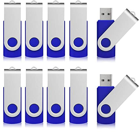 Aiibe 2GB Flash Drive USB Flash Drive Thumb Drives 2G USB 2.0 Memory Stick Wholesale/Lot/Bulk (2GB, 10 Pack, Blue)