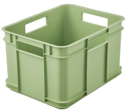 keeeper Caja de almacenamiento EURO-BOX, colección Bruno ECO, tamaño M, 35x27x22, ECO Verde