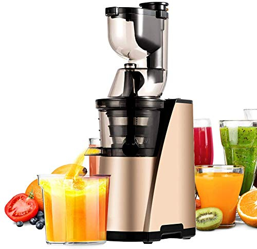 CRBUDY Máquina exprimidora de Prensa en frío, Extractor de exprimidor de masticación Lenta con Motor silencioso/función inversa/Jarra de Jugo Jugo de Frutas y Verduras con Alto Contenido