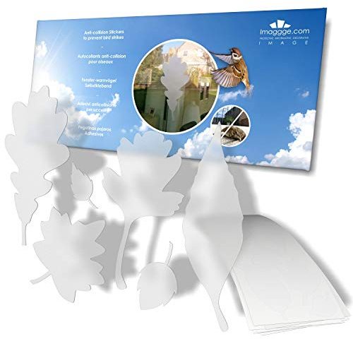 Window Protection - Anti-Collision Stickers to Prevent People and Bird Strikes on Window Glass - Set of 39 Tree Leaves Decals - Color: Translucent/Dusted
