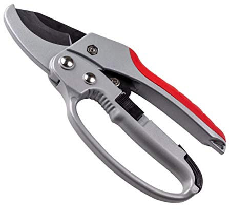 Forbici Potatura a Cricchetto per Giardinaggio Professionale, Forbici Bypass e Cesoie a Incudine,Utilizzate per Potare Rami,Arbusti e Petali di Rosa,Professionali Sicure Forbici da Potatura