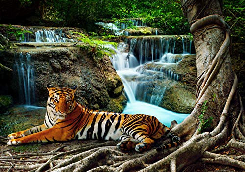 wandmotiv24 Fototapete liegender Tiger Dschungel, L 300 x 210 cm - 6 Teile, Wanddeko, Wandbild, Wandtapete, Wasserfall Wald Wasser Baum Tier M6537