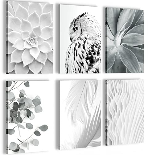 Novart- Tableau Décoration Murale- Set Boho Hibou- Decoration Chambre Salon- Prêt à être Accroché- 6 Cadres de 20x30 cm- Blanc- N023864a