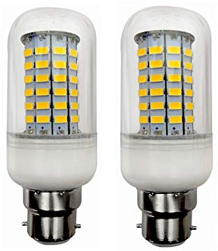 WELSUN LED Basse Tension B22 Ampoule de maïs Lampe 12V 24v 36v 48v 10W maïs Ampoule 5730SMD 69LED AC/DC 10-60v for RV Camper Marine, Solaire Lumière et Hors réseau 2pcs / lot (Couleur : Warm Wite)