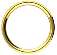 PIERCINGLINE Segmentring Clicker Chirurgenstahl Piercing Ring Nase Ohr Helix Septum Goldfarben 0,8 x 8 mm