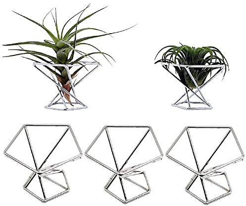 Lrtzizy Lot de 5 supports pour plantes à air Tillandsias Écran Purificateur d'air Plantes Conteneur Air Fougère Support Argent