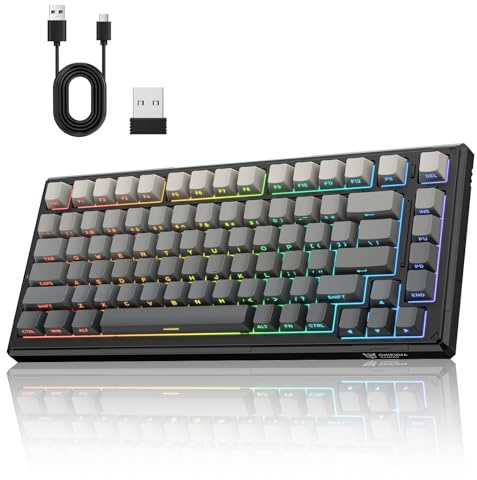 Wireless Mechanical Keyboard,8000mAh -Tri-Mode BT5.0/2.4GHz/USB-C ｜75% Hot Swappable Custom Keyboard｜RGB Backlit｜Pre-lubed Reaper Switches｜Side Printed PBT Keycaps Gaming Keyboards(Black & Gray)