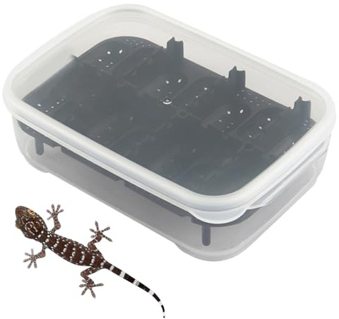 Reptilien-Inkubator – Schlangen-Terrarium für 14 Jahre Wohnung | Inkubator für Reptilien mit transparentem Design | Reptilientank für Reptilien, Spinnen und Skorpione