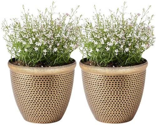 SG Traders 2 X Large Plastic Round Cromarty Plant Pots Flower Pot Planter Garden Decoration Gold 30cm Plant Pot Outdoor Flower Pots Outside Garden Planters Outdoor With Drainage Holes