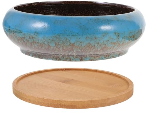 Yardwe 1set Vasi Ceramica Per Piante Grasse Con Vassoio Drenante Design Chic Per Giardino e Casa Perfetti Per Ufficio e Balcone Sfumato Contenitori Versatili Per Decorare