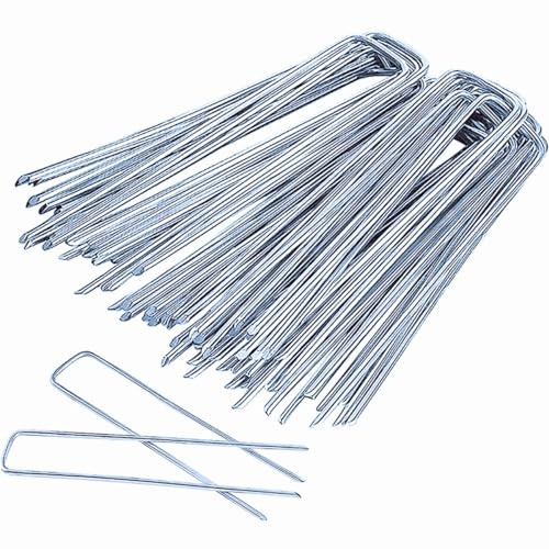 Xshelley Lot de 50 piquets galvanisés à chaud de calibre 11 pour couverture de plantes, piquets de tente, piquets de jardin, aménagement paysager, piquets de cour, pour décoration, tissu
