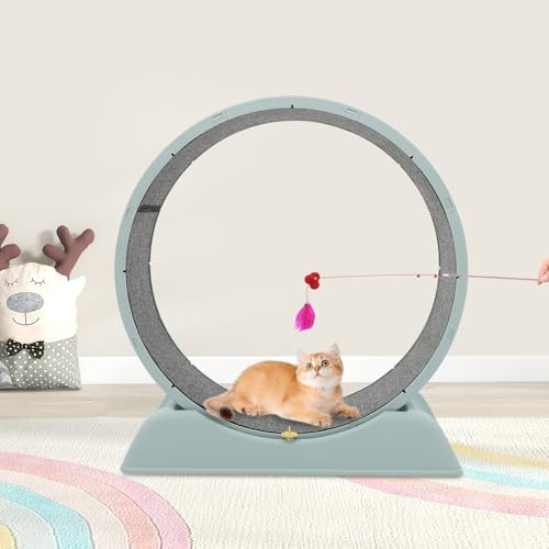 LOYEMAADE Ruota per gatti grande 80 cm con Cat Teasing Stick, Cat Wheel con meccanismo di bloccaggio, ruota per gatti per un movimento sano, allenamento o per giocare