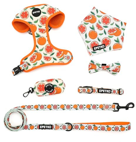 Welpengeschirr mit Leine Set, Weiches Leichtes Mesh Hundegeschirr Kleine Hunde mit Leine, Verstellbares Niedliches Blumenmuster Welpengeschirr Kleine Hunde, Geeignet für Kleine und Mittelgroße Hunde