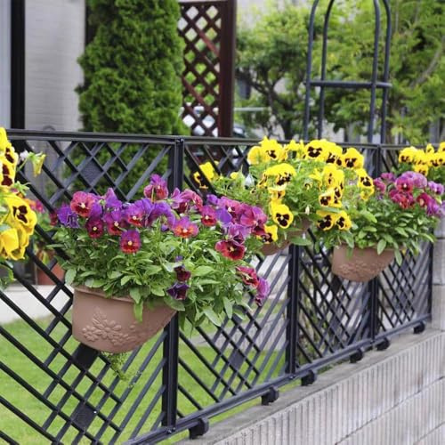 pensamiento semillas resistentes, semillas exóticas del balcon de silvestres perennes resistentes, jardín de del 200pcs