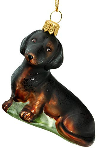 SIKORA Kurzhaar Dackel besondere Weihnachtskugel Glas Christbaumschmuck Deko Figur Weihnachten Anhänger Ornament - Meisterstücke - BS707, Variante:schwarz - rot