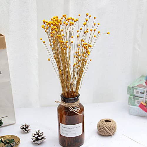 LIJUCAI 50 stücke Natürliche Simulation Blumen Importiert Trockenblumenstrauß Echt Happy Flower Shooting Requisiten Klebriges Material Dekorativ,gelb