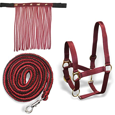 Halfter für Pferde mit Führstrick & Fliegenfransen Pferd, Halfter mit Strick - Halfter Pony Shetty Halfter Cob Full Kb (Shetty, Bordeaux-Schwarz)