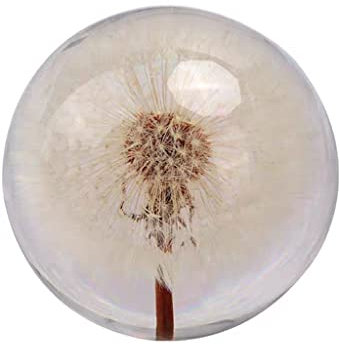 Kristallkugel Dekokugel Unsterbliche Blume Pflanze Wohnzimmer Kristall Ball Geschenk Kreative Geburtstag Weihnachten Geschenk Mädchen Handwerk Schlafzimmer Handwerk Dekoration Blickende Weissagung ode