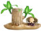 Brasilianische Holzpflanze | Brasilien Glücksholz, Brazilian Wood Plant, Brasilianisches Hydrokultur Pflanzen, Brasilianische Glücksholzpflanzen Mit Topf Und Figur, Innenluft Zu Reinigen