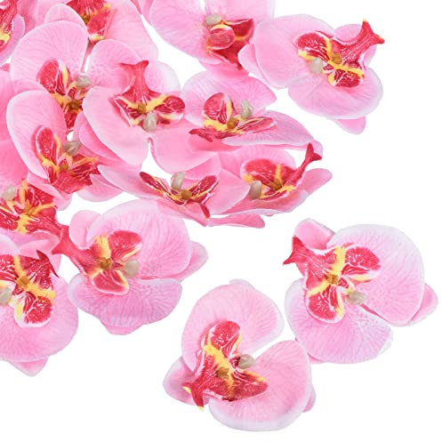 PATIKIL 2.8 Artificial Orchid Flower Heads, 20 Pack Silk Phalaenopsis Fake Butterfly Orchid Heads for Wedding Floral Bouquet Decor DIY Craft Making, Pink