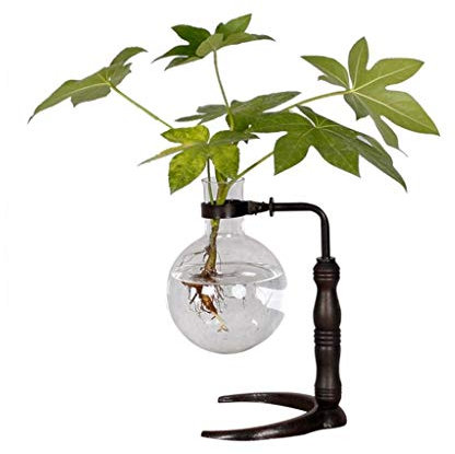 blumenstandBlumenständer für den Innenbereich, Topf, Hydrokultur, Grünpflanze, Blumenständer, Retro-Mode, transparente Glasvase, personalisierte dekorative Ornamente, Pflanzenpräsentation st