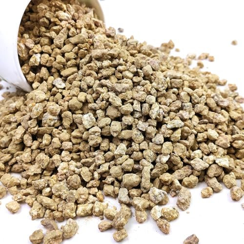 YISZM Piedras maifanitum para suculentas y cactus, accesorio de jardín, piedra pómez para plantas de interior, bonsái, jardinería de hadas, rellenos de jarrones, terrario, 5 libras