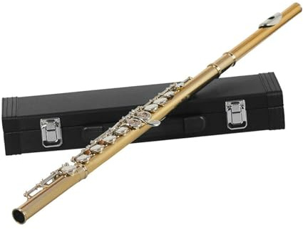 Flöjt Nybörjare Set 16 Geschlossene Offene Löcher C-Tonart Professionelles Querflöte-Konzertmusikinstrument Mit Box, Stoffstab, Handschuhen(Gold A)