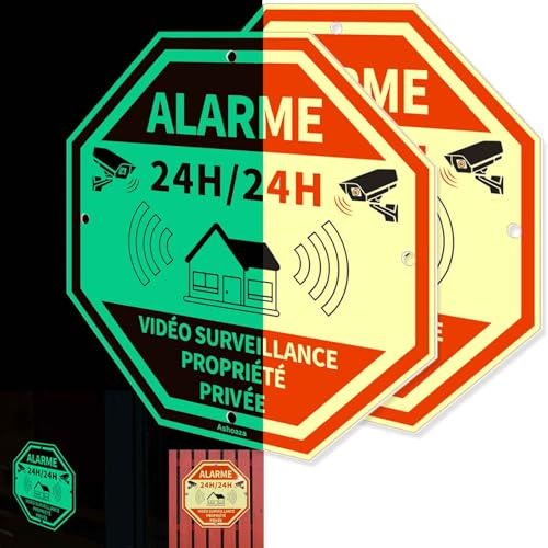 FR-Ashoaza Cartel luminoso de aluminio con 2 alarmas de seguridad con videovigilancia, señales de videovigilancia, alarmas fosforescentes octagonales para el hogar, 20 x 20 cm