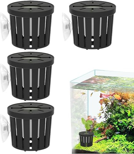 Wcybym Supporto Piante Acquario | con Ventose Stabili | Supporto per Pothos per Acquario,Per Camera da Studio Ristorante Appartamento Natale Regalo di Benvenuto Compleanno