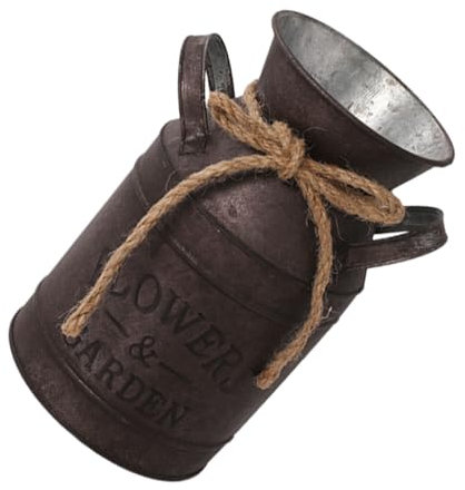 Illkjasfc Clásico francés rústico titular de flores de metal jarra de leche jardín lechera para granjas plantas terrestres presentación