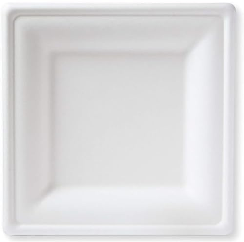Generico Piatti di Carta Monouso di Canna da Zucchero Privi di Plastica, Compostabili e Biodegradabili, Alternativa Ecologica ai Piatti Plastica Usa e Getta, per Microonde (50 pezzi 20x20 cm)
