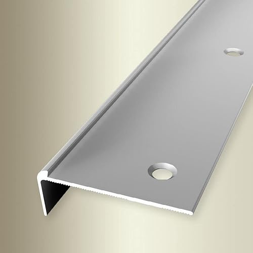 PROVISTON | Perfil de borde de escalera | Ancho: 48 mm | Altura: 2,5 mm | Longitud: 2500 mm | Aluminio anodizado | Plata | Empotrado