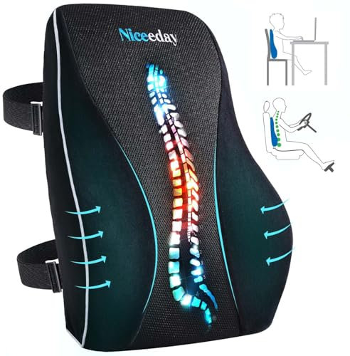 Niceeday Lendenwirbelkissen für Bürostuhl Auto Lendenkissen, Memory Schaum Rückenkissen mit atmungsaktiver orthopädischer 3D-Netz-Lendenwirbelstütze