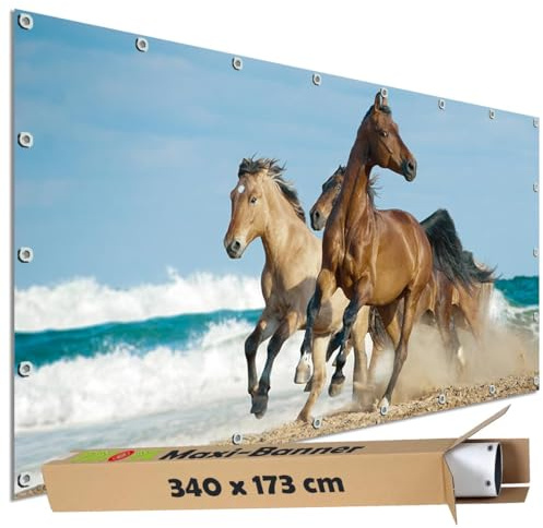 TRIOSK Sichtschutz Garten Dekoration Plane groß mit Natur Motiv Strand Pferde am Meer Motivbanner blickdicht für Terrasse Zaun Gartenzaun Gartenposter PVC Zaunblende 340x173 cm