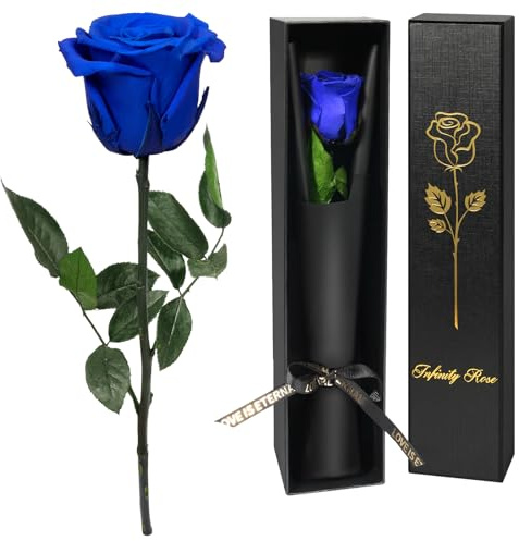 Yamonic Rosa Eterna Regalos Mujer, Rosa Preservada con Tallo Regalo Cumpleaños Mujer, Flores Preservadas Regalos Mujer, Rosa Eterna Natural Preservada Regalo San Valentín (1-Azul, 1)