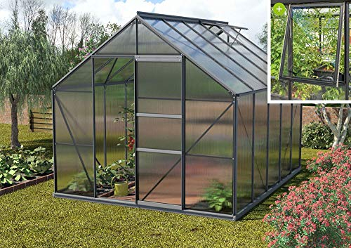Vitavia Meridian 1 9900 HKP 4 mm, anthrazit Gewächshaus 2 Dachfenster 1 Seitenfenster